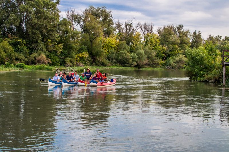 canooing down little danube